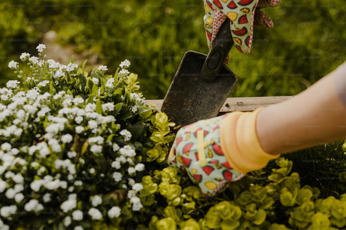 Gardening Products