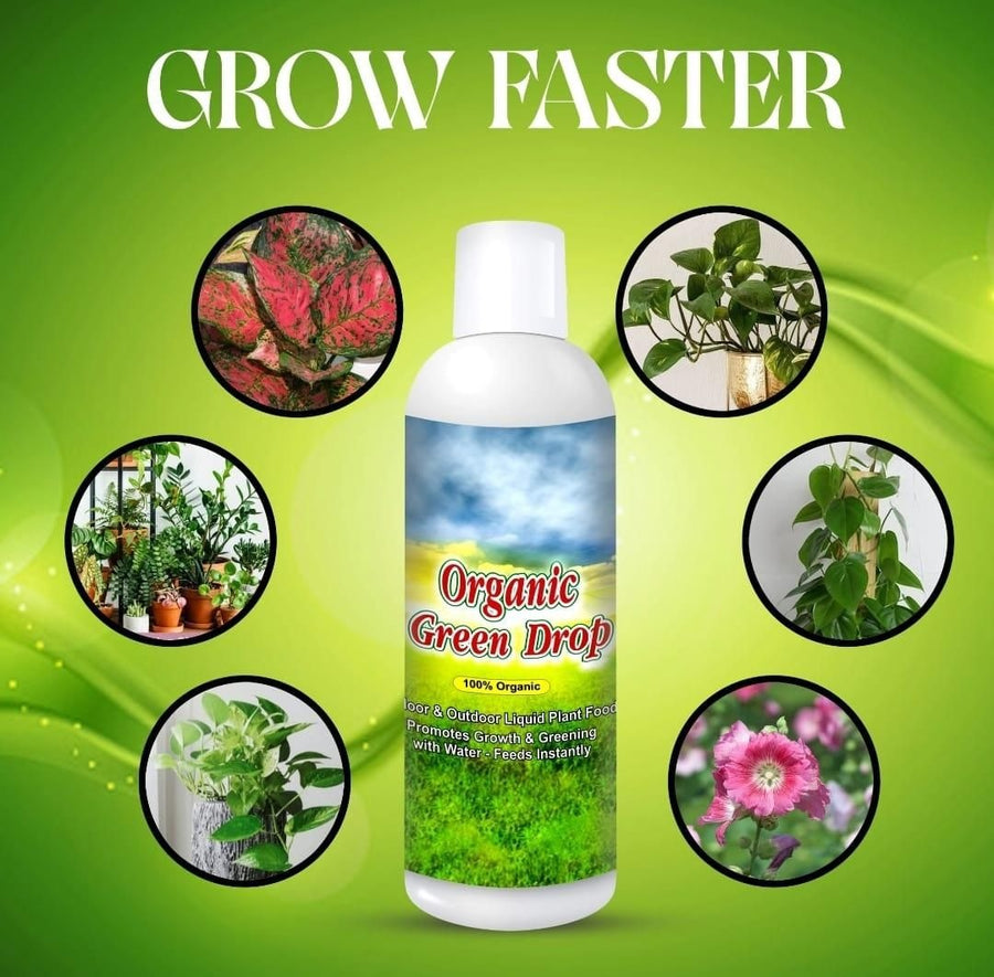 Plant Protection Spray – Buy 1 Get 2 Free | Best Plant Care Spray