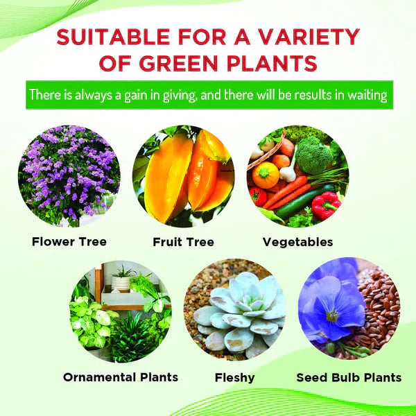 Plant Boost Liquid Biofertilizer for All Crops,Organic (Pack of 3)