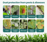 Plant Protect Spray – Buy 1 Get 2 Free | Powerful Pest & Disease Control for Home Gardens