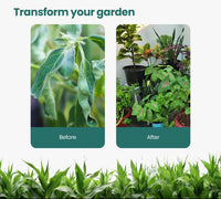 Plant Protect Spray – Buy 1 Get 2 Free | Powerful Pest & Disease Control for Home Gardens