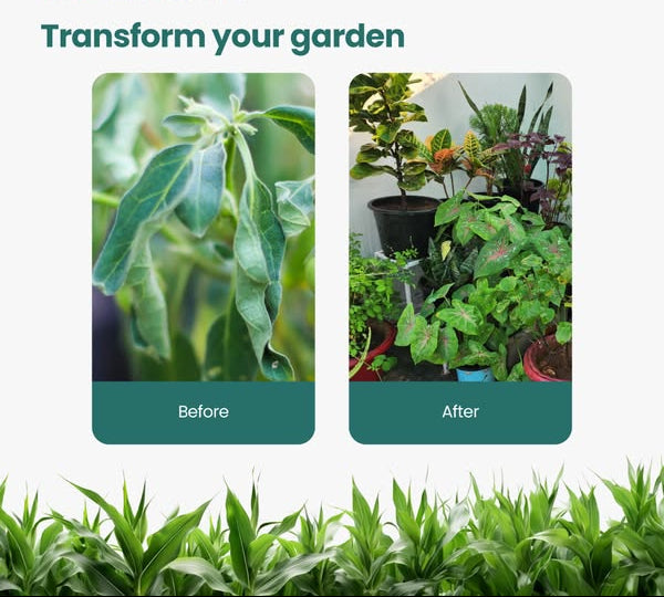 Plant Protect Spray – Buy 1 Get 2 Free | Powerful Pest & Disease Control for Home Gardens